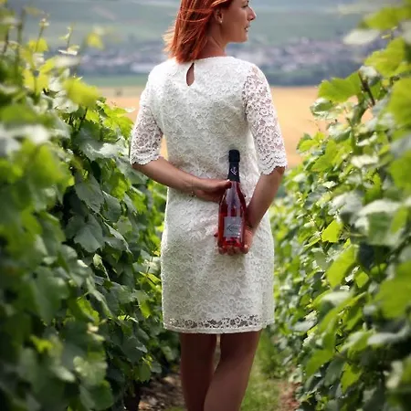 בית נופש La Grange D' Angel